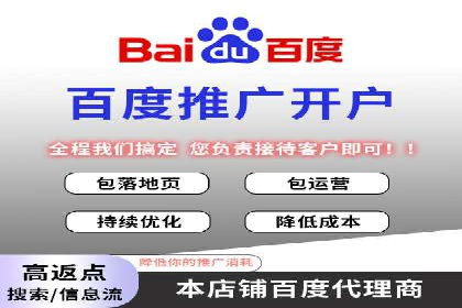 SEM代运营服务公司成功案例解析